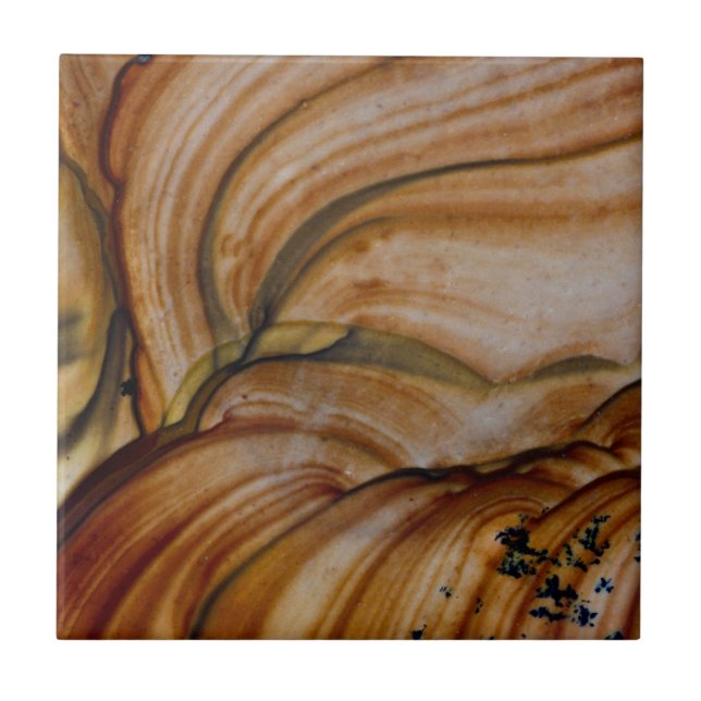 Brown coloured Deschutes Jasper Tile (Front)