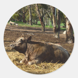 Brown Cow Bring On The Hay, Classic Round Sticker