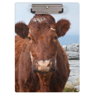 Brown Cow Clipboard
