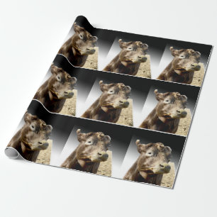 Brown Cow Munching On Hay, Wrapping Paper
