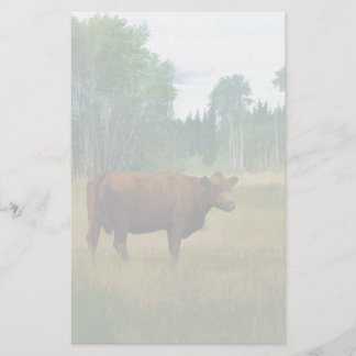 Brown Cow on a Horse and Cattle Ranch Stationery