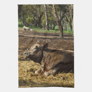 Brown Cow Relaxing On The Farm, Tea Towel