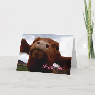 Brown cow Thank you Card