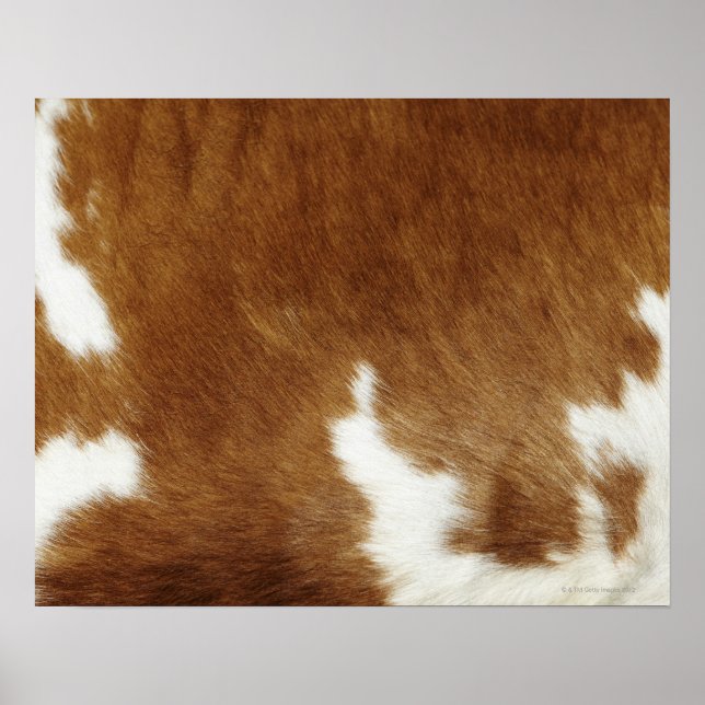 Brown Cowhide Print Poster (Front)