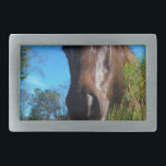 Brown & Cream Coloured Horse blue sky Belt Buckle<br><div class="desc">Brown & Cream Coloured Horse blue sky Photo by Sandy Closs Customise with your own name or text to create a one of a kind gift. "horse lovers""horse gift""horse gift", "gifts for horse lovers ", "i love horses", "brown horse", horse, horses, "horse gifts""farm animals ", pony , ponies""horse lover""horse lovers"...</div>