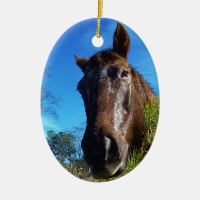 Brown & Cream Coloured Horse blue sky Ceramic Tree Decoration (Front)