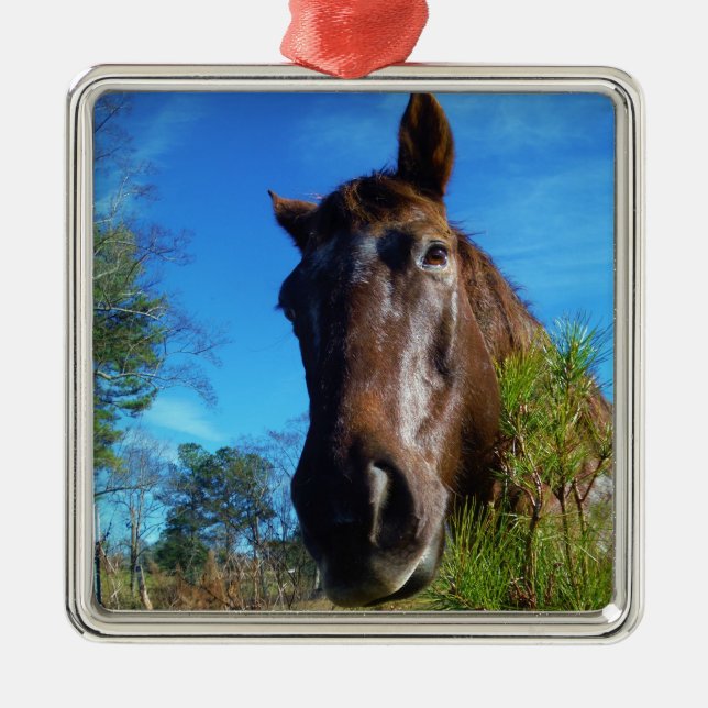 Brown & Cream Coloured Horse blue sky Metal Tree Decoration (Front)