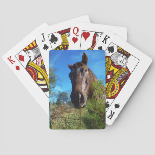 Brown & Cream Coloured Horse blue sky Playing Cards