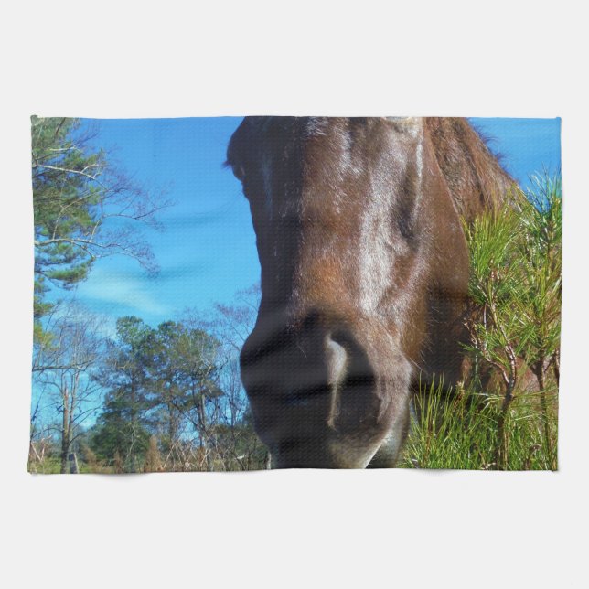 Brown & Cream Coloured Horse blue sky Tea Towel (Horizontal)