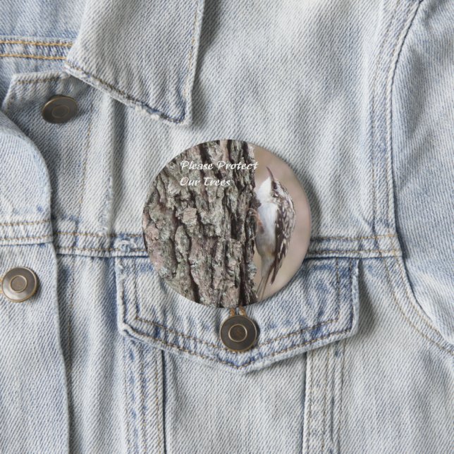 Brown Creeper button (In Situ)