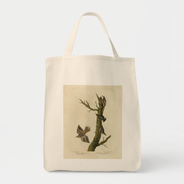 Brown Creeper, Pygmy Nuthatch from Audubon's Birds Tote Bag (Front)