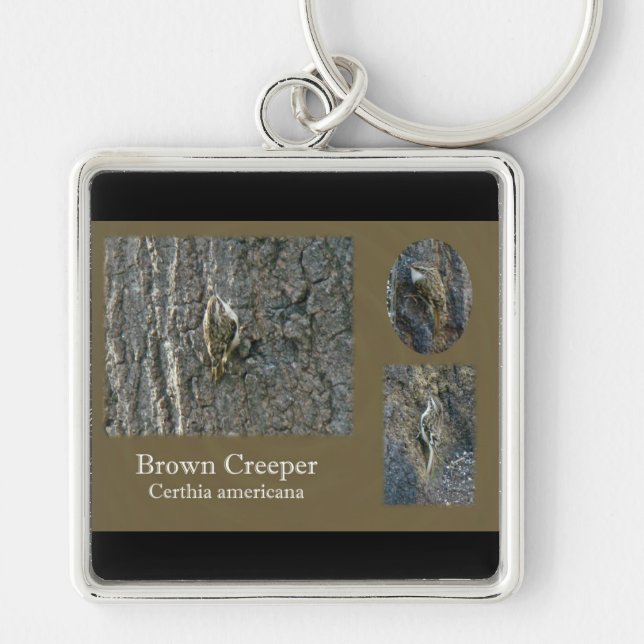 Brown Creeper Songbird Coordinating Items Key Ring (Front)