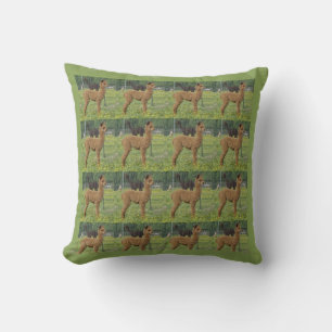 Brown Cria Cushion