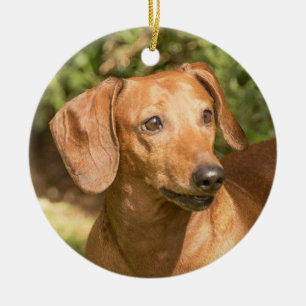 Brown Dachshund Doxie Dog Ceramic Tree Decoration