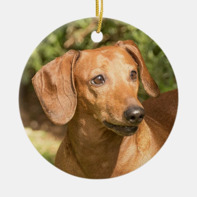 Brown Dachshund Doxie Dog Ceramic Tree Decoration (Front)