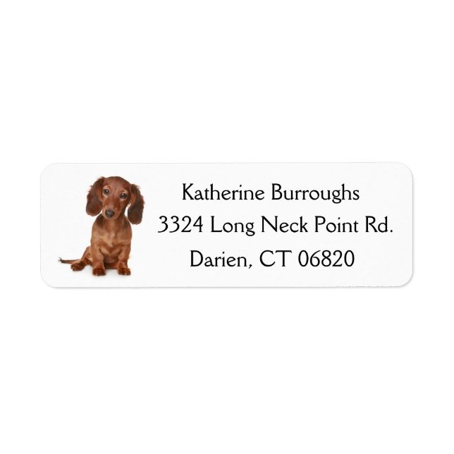 Brown Dachshund Puppy Dog Personalised (Front)