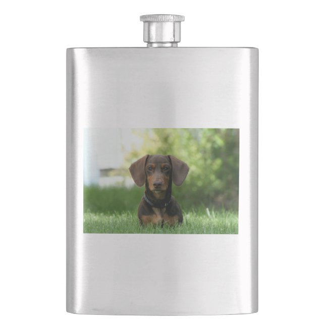 Brown Dachshund Puppy Hip Flask (Front)