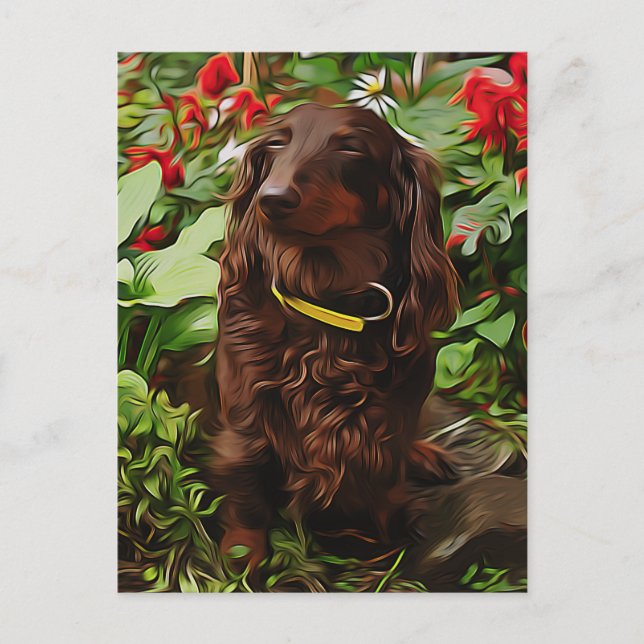 Brown Dachshund Sitting In The Garden With Flower Postcard (Front)