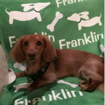 Brown Dachshund Wiener Dog Custom Blanket