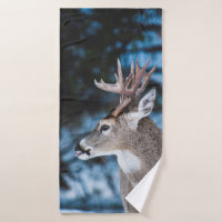BROWN DEER IN TILT SHIFT LENS