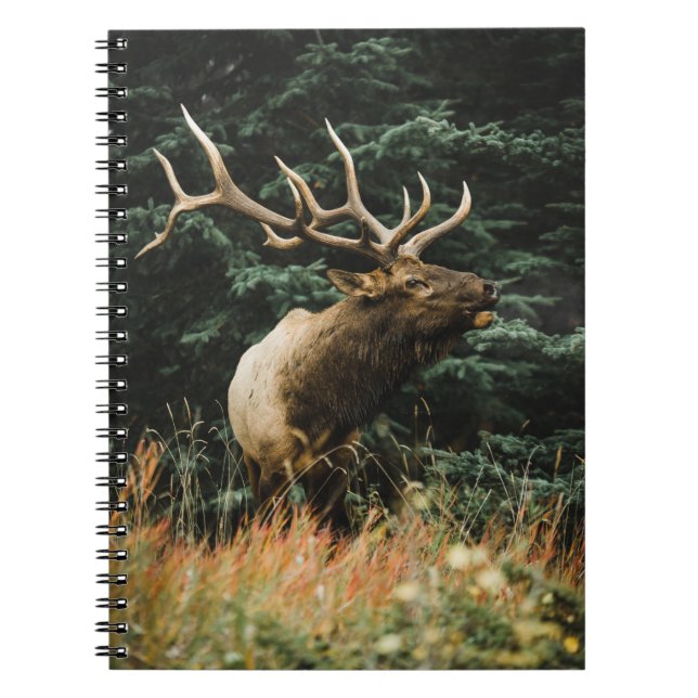 BROWN DEER ON GREEN GRASS DURING DAYTIME NOTEBOOK (Front)