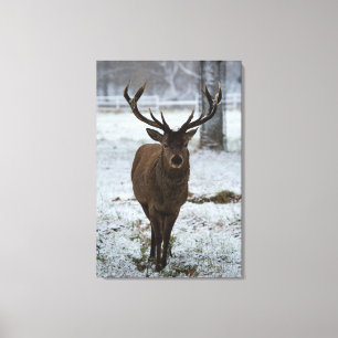 brown deer walking on snow canvas print