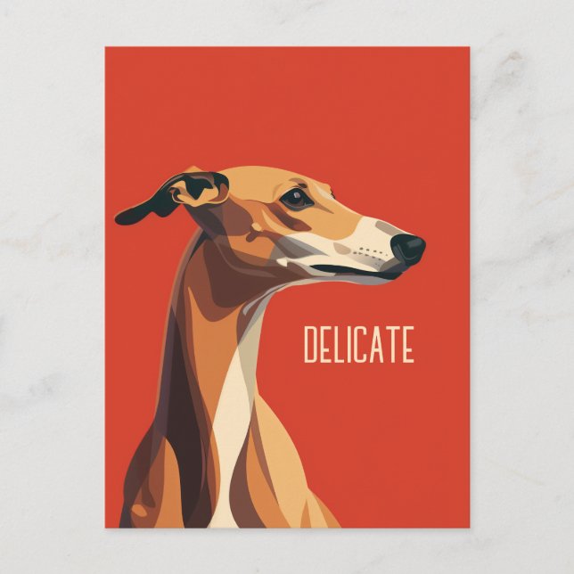 Brown Delicate Greyhound Postcard (Front)