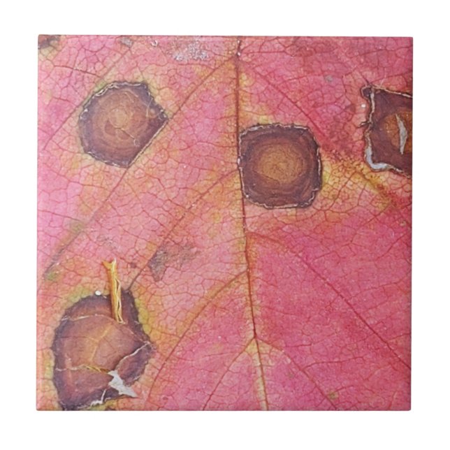 Brown Dotted Red Fall Leaf Throw Pillow Tile (Front)