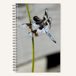 Brown Dragonfly Notebook Journal