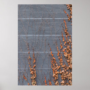 Brown dried leaves on water poster