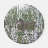 Brown Duck Nature Photography Magnet