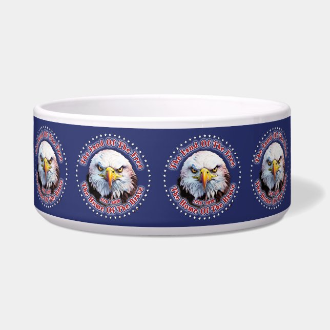 Brown Eagle Multiple Design Blue Background (Front)