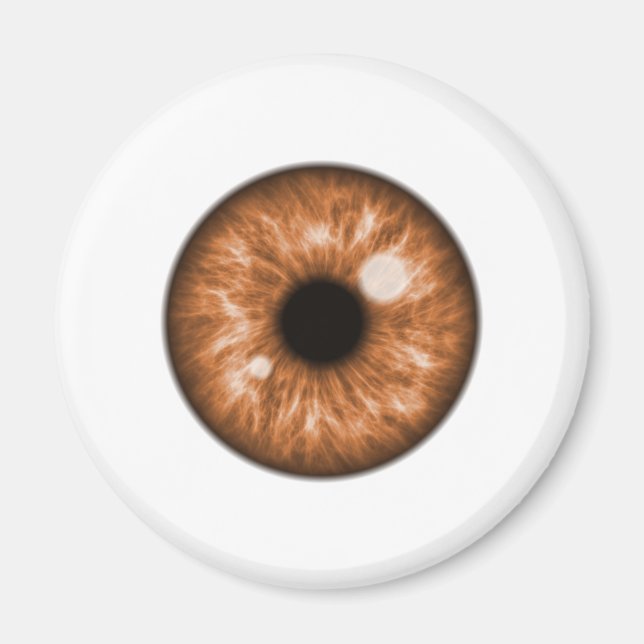 Brown Eye Ball Funny Magnet (Front)