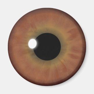 Brown Eye Iris Eyeball Cool Custom Round Magnets