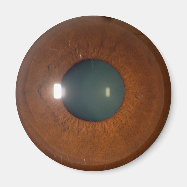 Brown eye magnet (Front)
