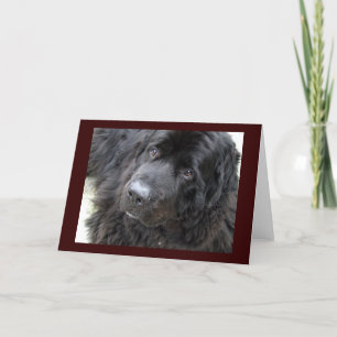 brown eyed hugo card