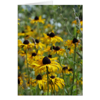Brown Eyed Susan Card
