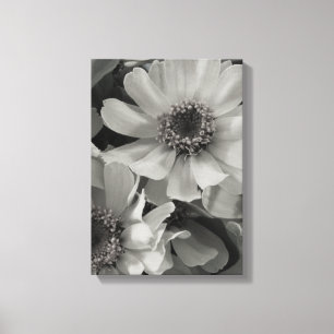 Brown Eyed Susan Flowers Canvas Print