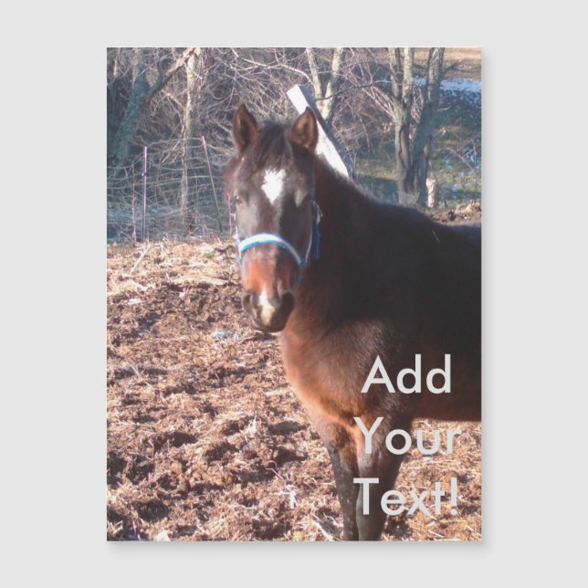 Brown Farm Horse Raleigh County (Front)