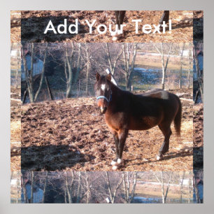 Brown Farm Horse Raleigh County Poster