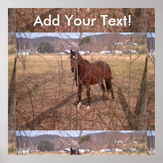 Brown Farm Horse West Virginia Poster