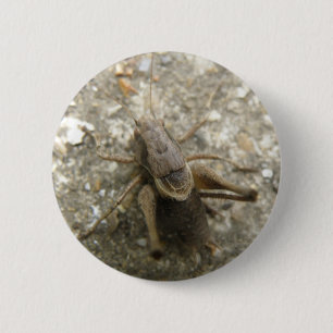 Brown Field Cricket Button