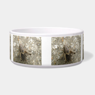 Brown Field Cricket Dog Bowl