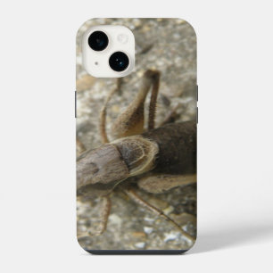 Brown Field Cricket iPhone 14 Case
