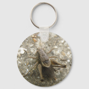 Brown Field Cricket Keychain