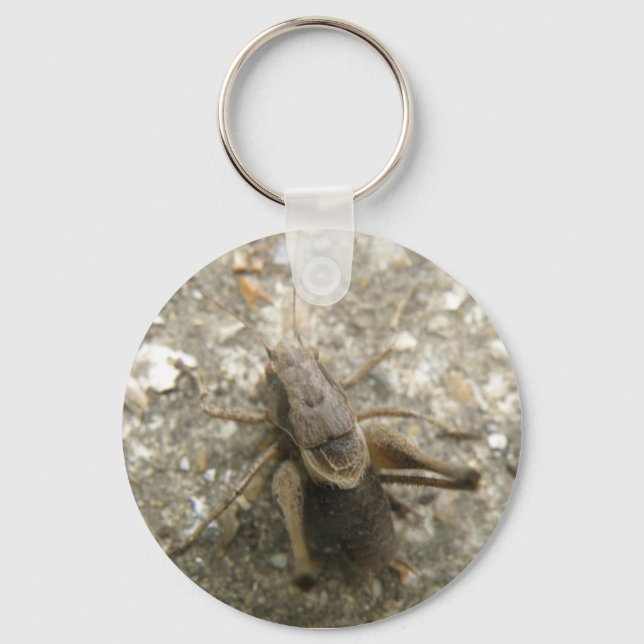 Brown Field Cricket Keychain (Front)