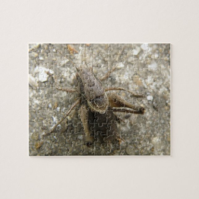 Brown Field Cricket Puzzle (Horizontal)
