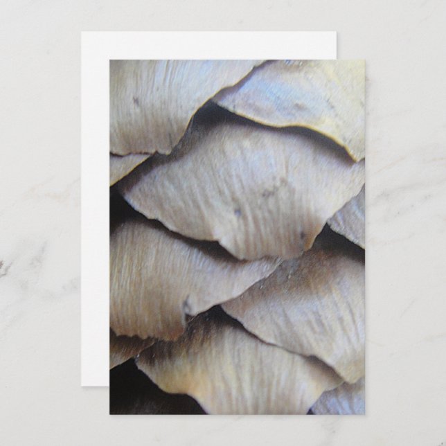 Brown fir cone pattern (Front/Back)