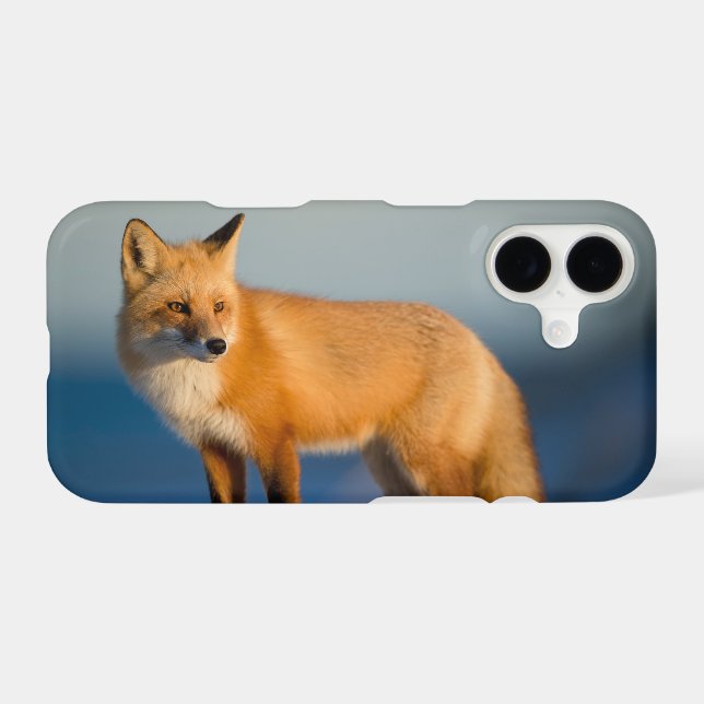 Brown Fox (Back (Horizontal))