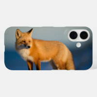 Brown Fox